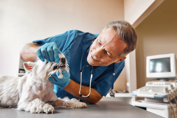 Best Same-Day Emergency Dental Services in Louisa, KY